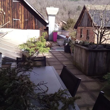 Côté Nature, Cosy Au Cœur De * Munster (Haut-Rhin)